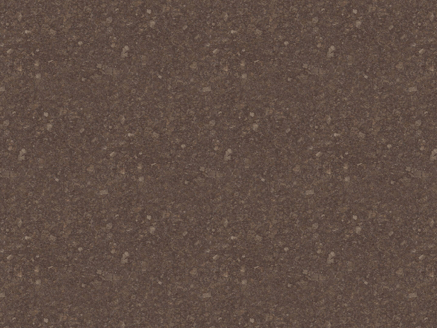 K4894_Steel Grey Coffee_gP.jpg